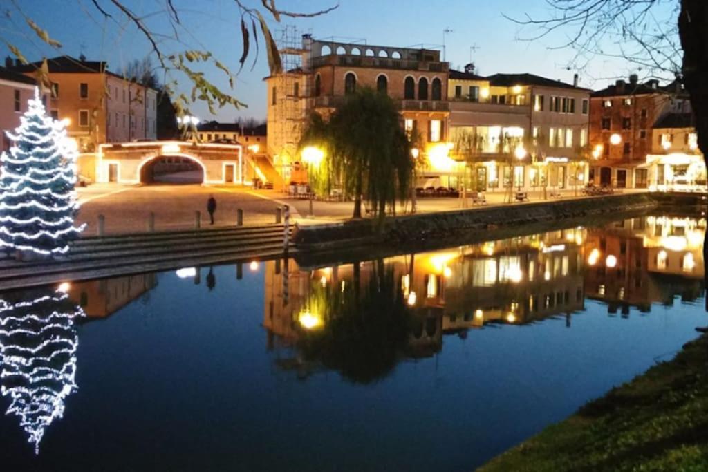 Appartamento C'Est La Vie In Barchessa Veneta Fiesso dʼArtico 外观 照片